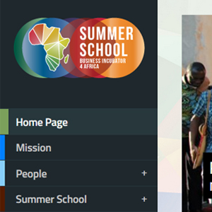 African Summer School